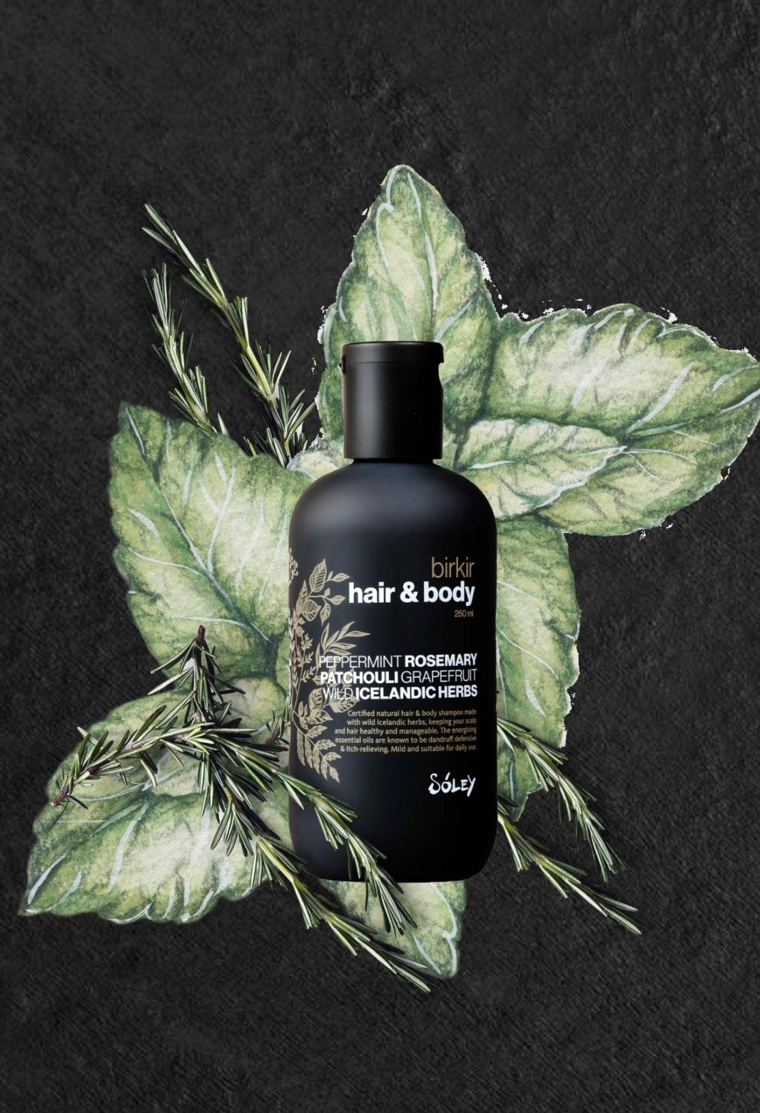 Birkir frá Sóley Organics nýjar umbúðir