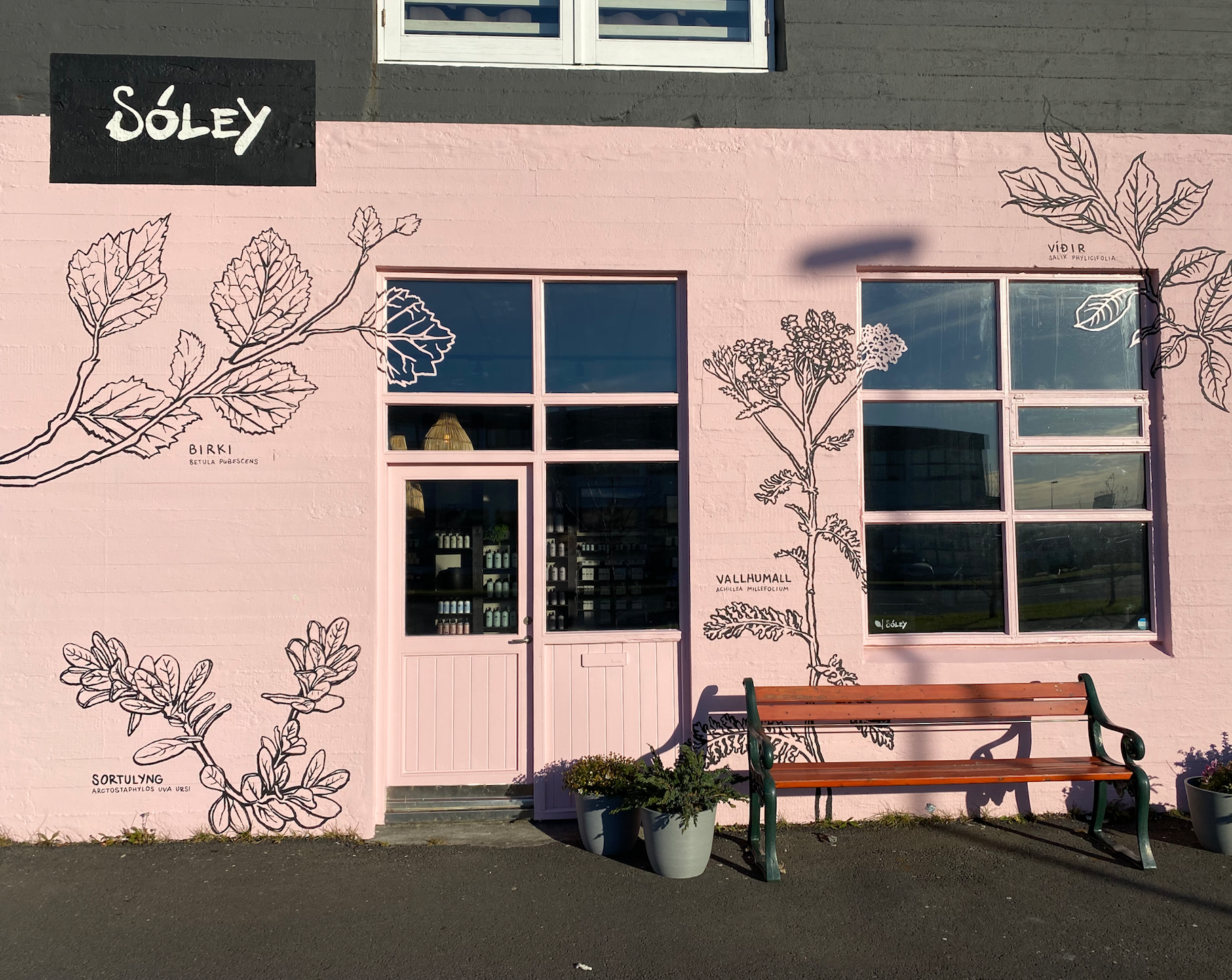 Sóley í Bleika Húsinu – Sóley Organics